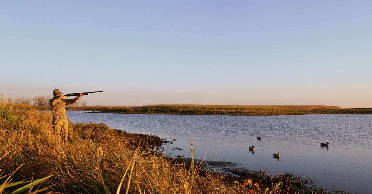 Quail Hunting in Alabama