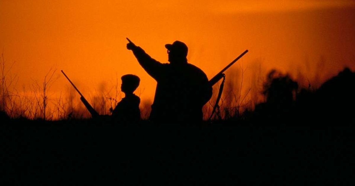 Quail Hunting in Georgia