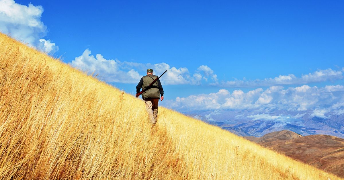 Quail Hunting in Kansas