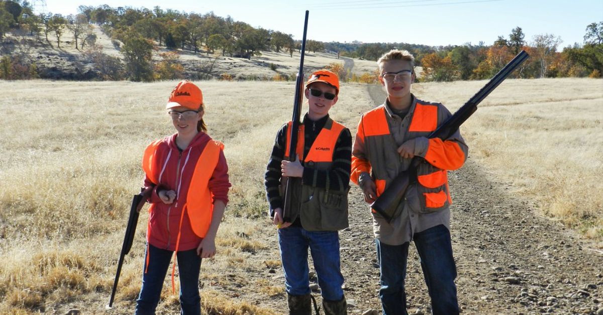 Quail Hunting in Maine