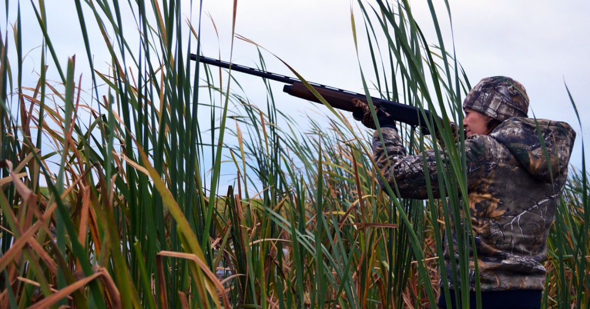 Quail Hunting in Massachusetts