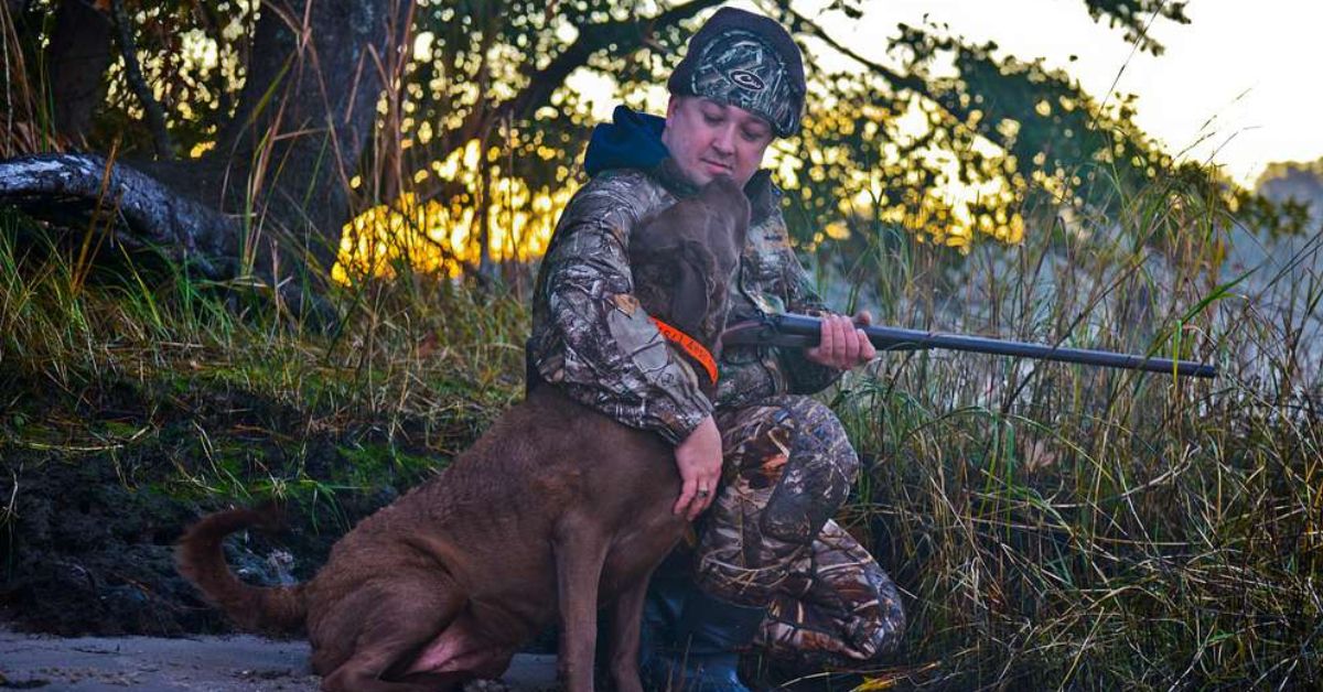 Quail Hunting in Michigan