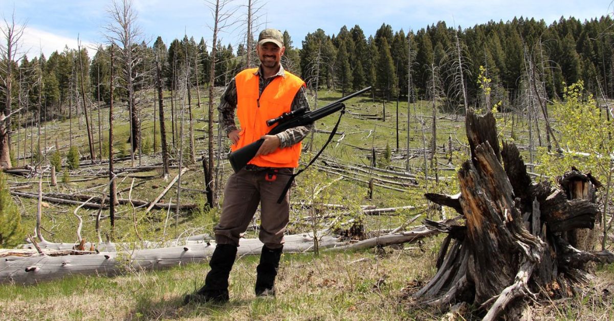 Quail Hunting in Mississippi