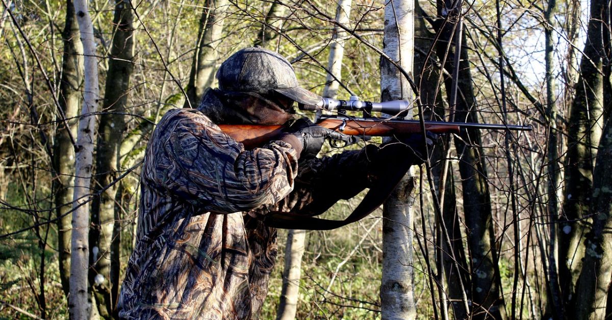 Quail Hunting in Nevada