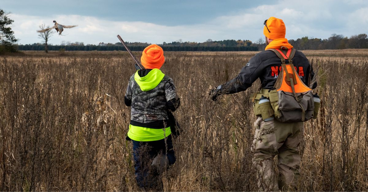 Quail Hunting in West Virginia