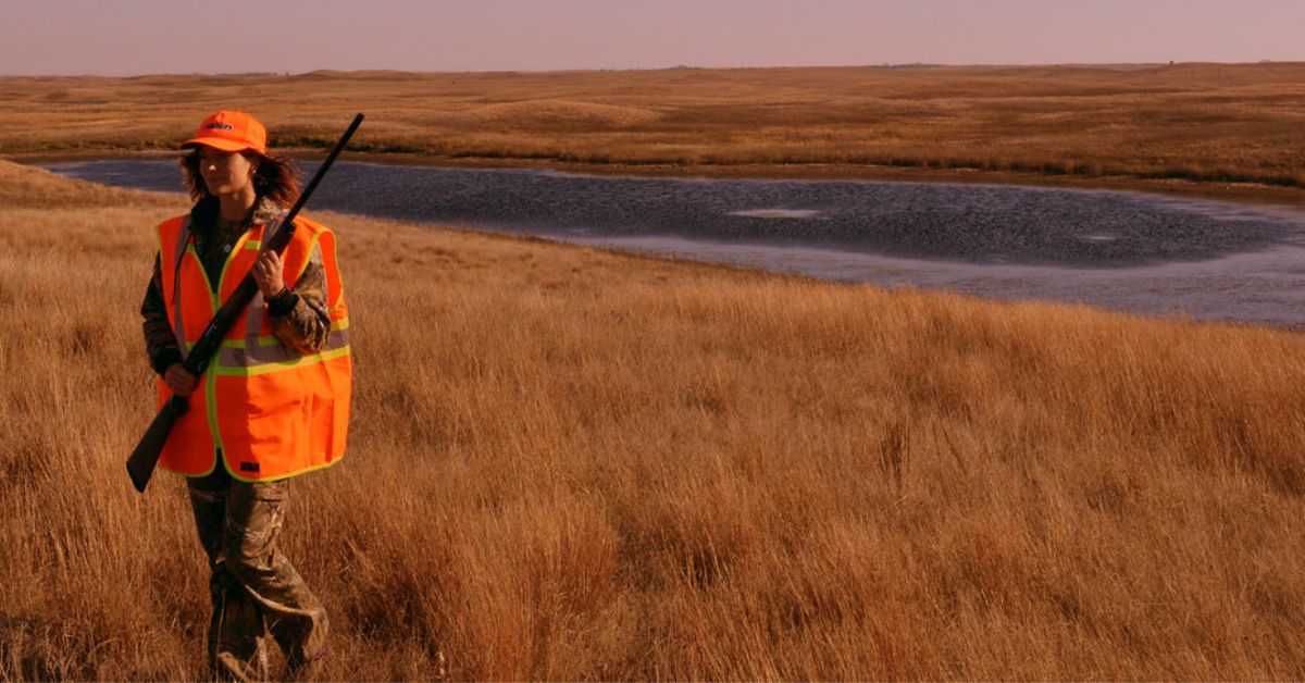 Quail Hunting in Wisconsin