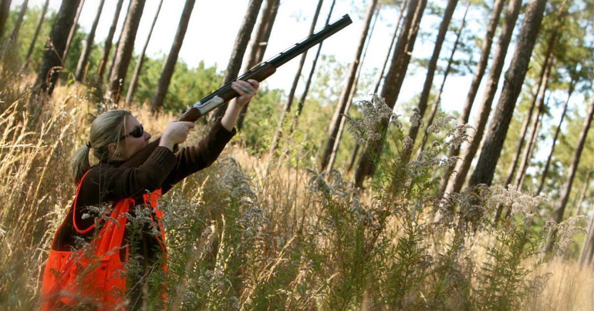 Quail Hunting in Wyoming